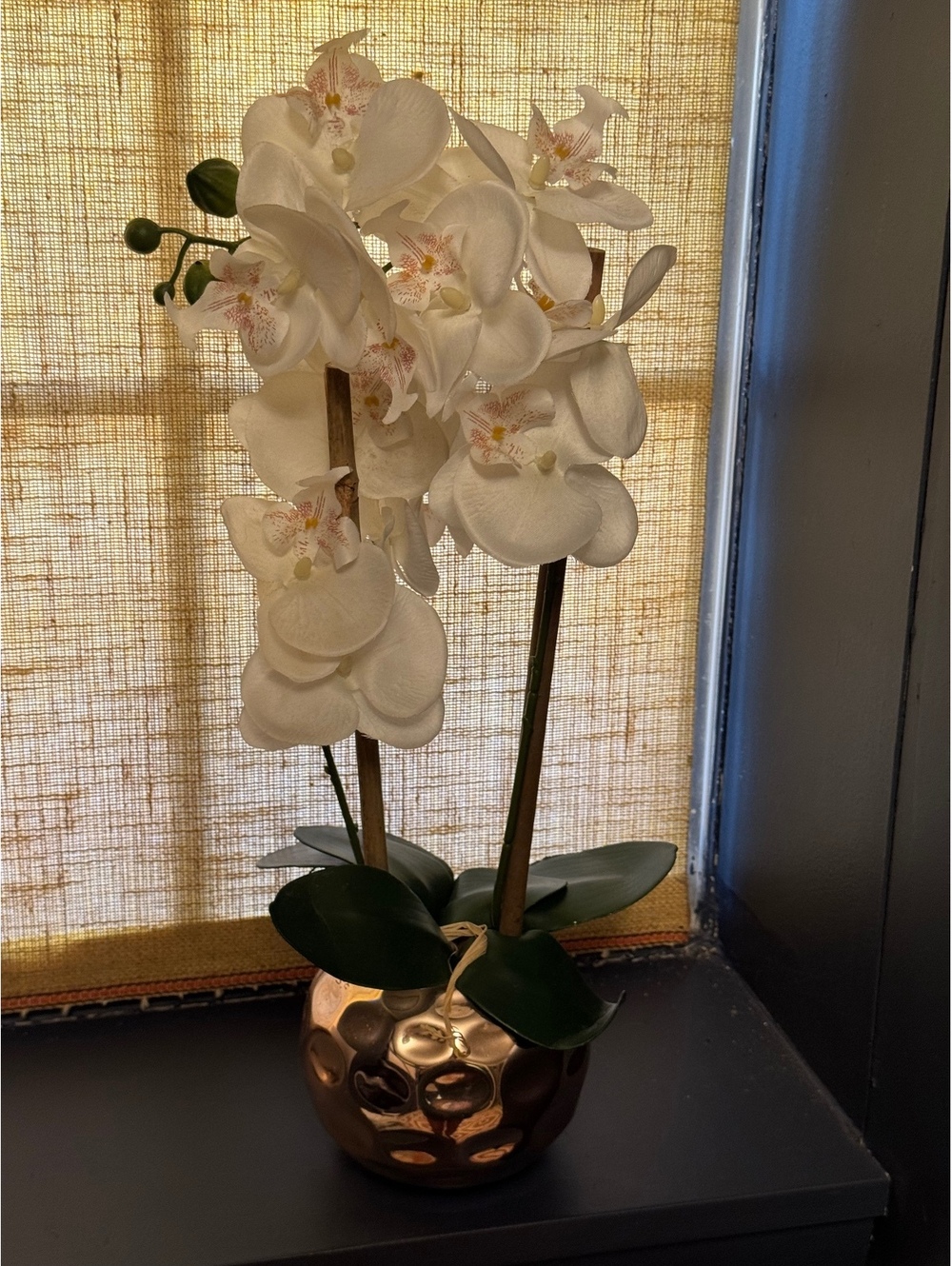 Everlasting Blooms: Stunning White Orchid Home Decor Statement